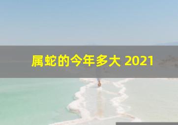 属蛇的今年多大 2021